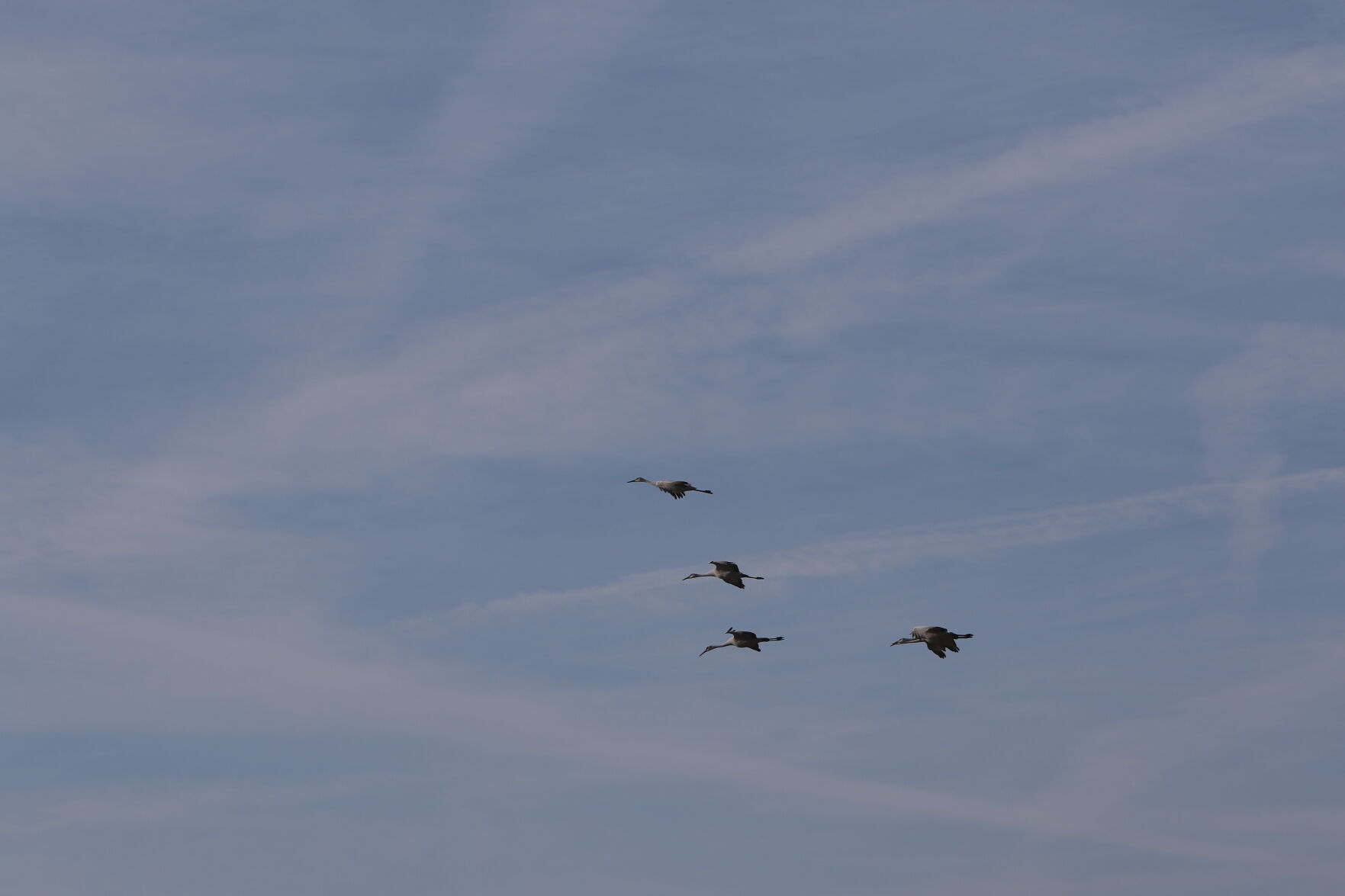 Pulaski crane
